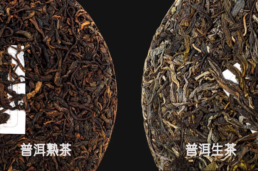 以润茶识 | 新茶和老茶、生茶和熟茶到底能不能存放在一起？