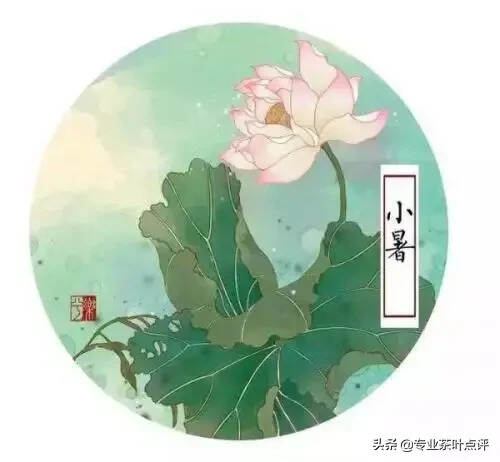 小暑｜如何消暑？