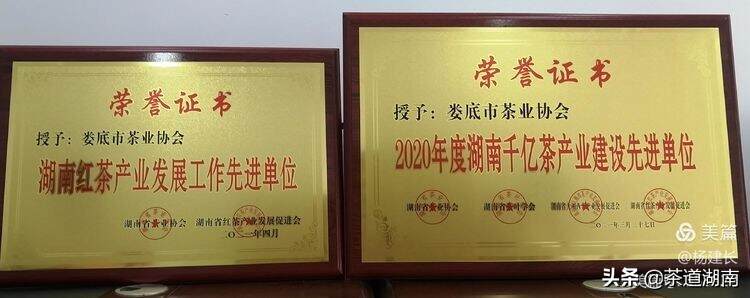 娄底市茶业协会召开2021年下半年工作部署会