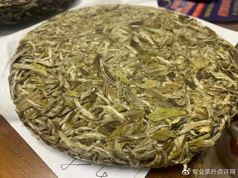 茶评 | 不同品种不同年份白茶审评