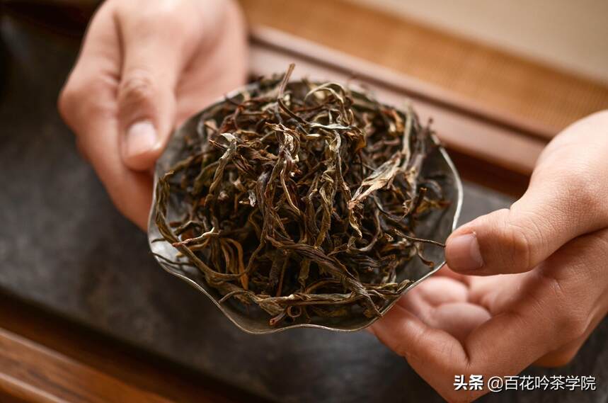 新手入门小白必看！勐海茶区与普洱茶区山头有何区别？