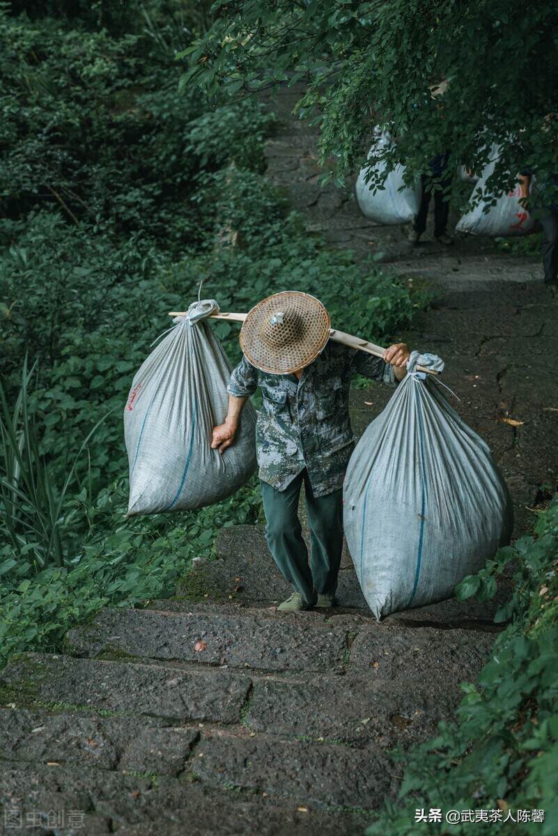 「武夷岩茶」武夷岩茶的概念及其发展现状