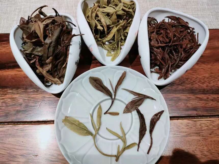 「江茶会 · 第13期」清欢六月 来饮茶