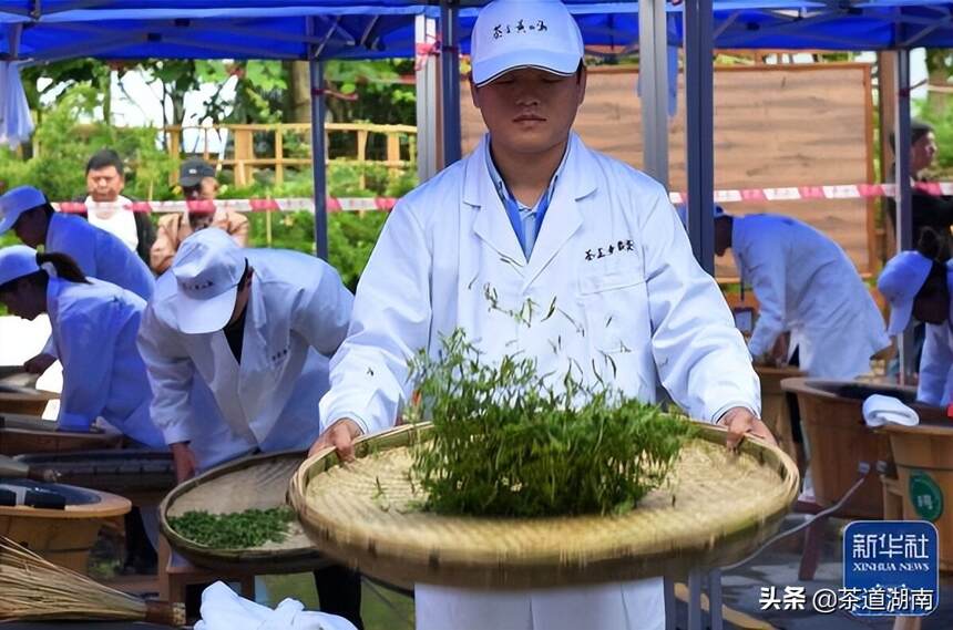 湖南湘西：制茶赛场茶飘香