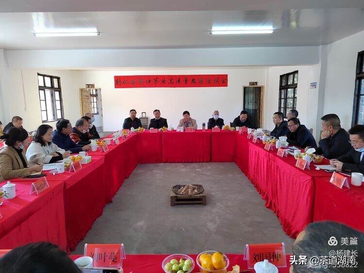 新化县金凤乡召开国仲茶业高质量发展座谈会