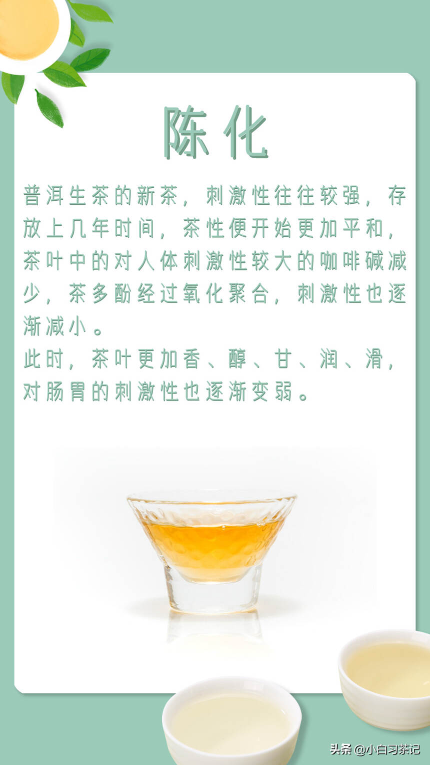 夏天适合喝普洱生茶吗？