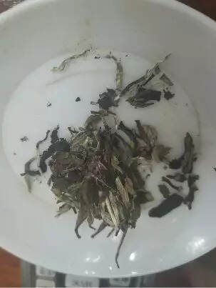 评茶真经--辨识老白茶（一）