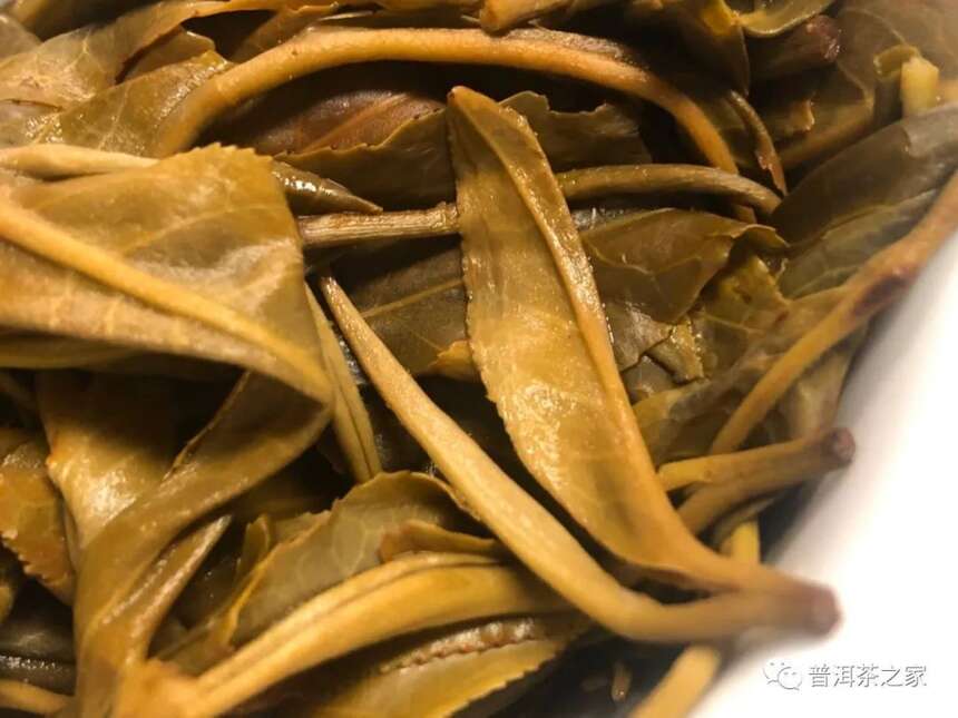 如何区分普洱茶的头春和尾春？以老班章古树茶为例，5点轻松辨别