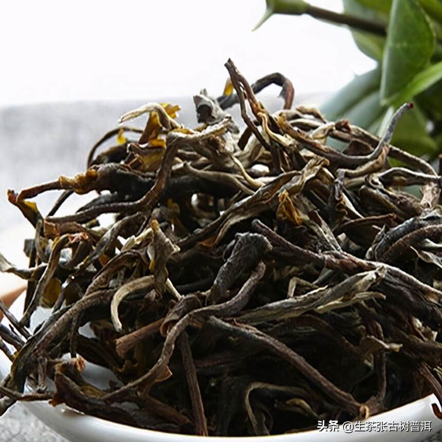 「普洱知识」号级茶、印级茶、饼级茶，分别是些什么普洱茶？