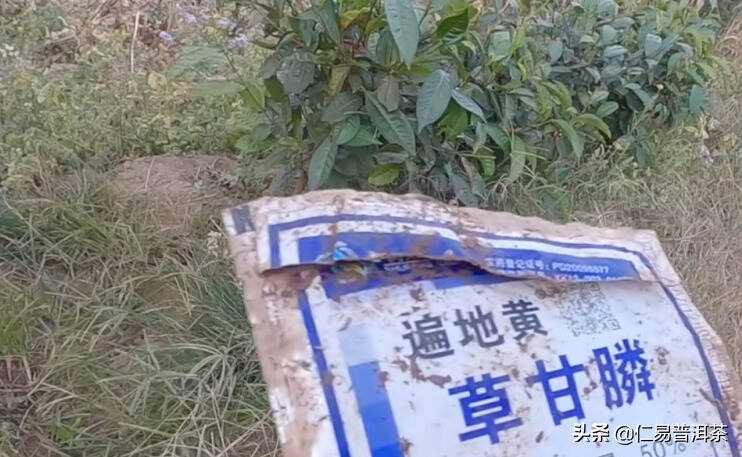 仁易说茶对生物化学用于普洱茶行业的看法