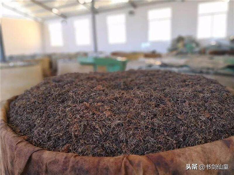 2019年熟茶还会是这样被低估吗？2019熟茶之我见！