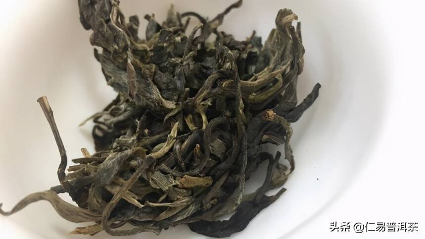 喝山头普洱茶是看书被引导？还是愿意自己体会？