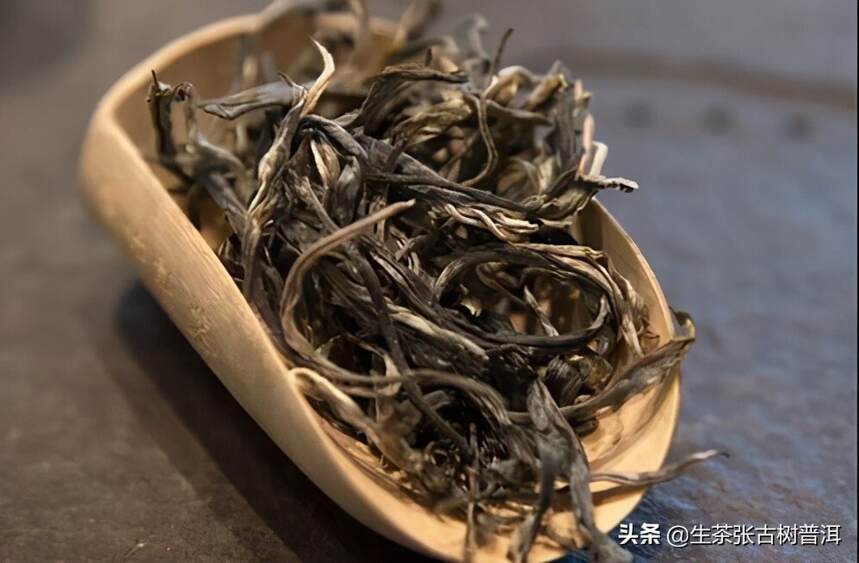 帕沙哪些寨子出产古树茶？古茶山普洱茶口感特点有哪些？