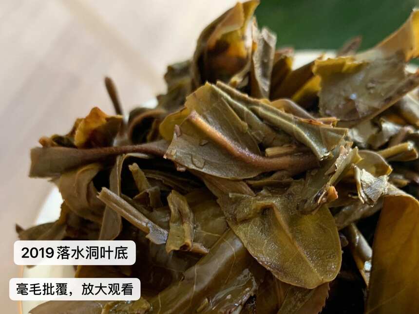 落水洞古树茶,易武高品质茶的典型代表,2022年的品质和价格怎样呢