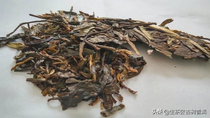 生茶张：如何快速鉴别普洱新茶与陈茶？新茶与陈茶有何特点？