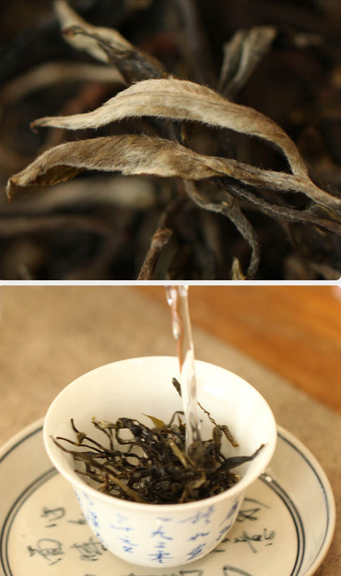 为什么春茶泡出来的汤色浑浊？说明茶不好吗？看完这5点你就懂