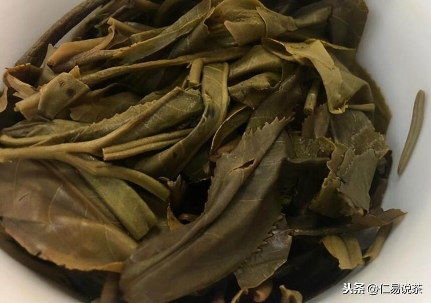 什么是普洱茶的“普洱味”？