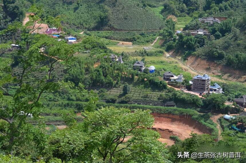 帕沙哪些寨子出产古树茶？古茶山普洱茶口感特点有哪些？