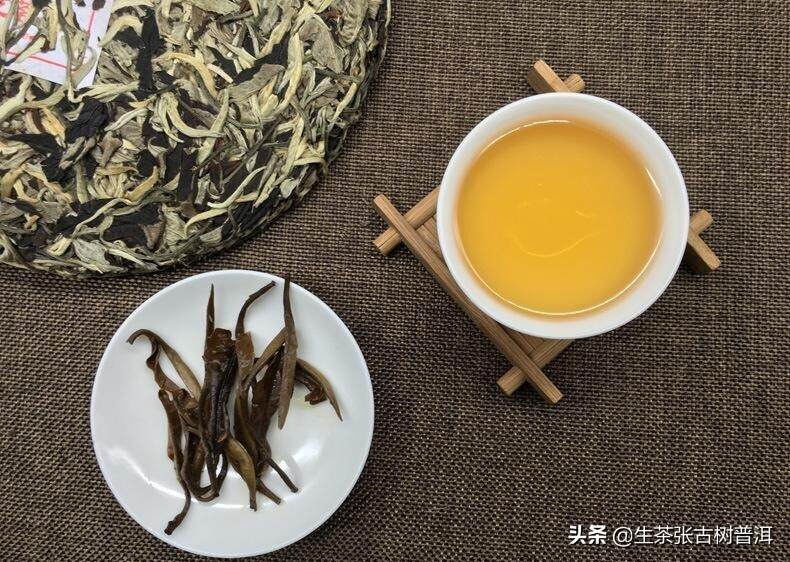 初识普洱茶的茶友，需要知道的知识点（很重要），你知道多少？