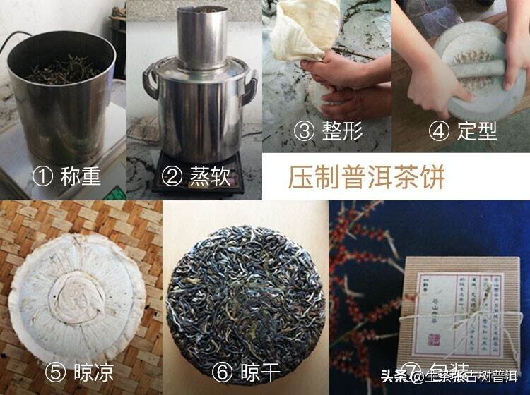 迅速掌握普洱茶的工艺知识，只看这一文就够了