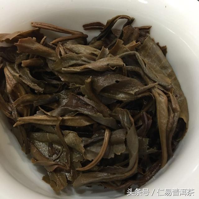 仁易说茶：普洱茶的美好与养生并存的秘密