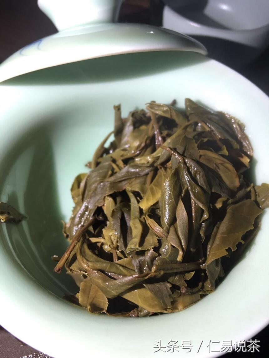 仁易说茶：感悟普洱茶对人生的诠释