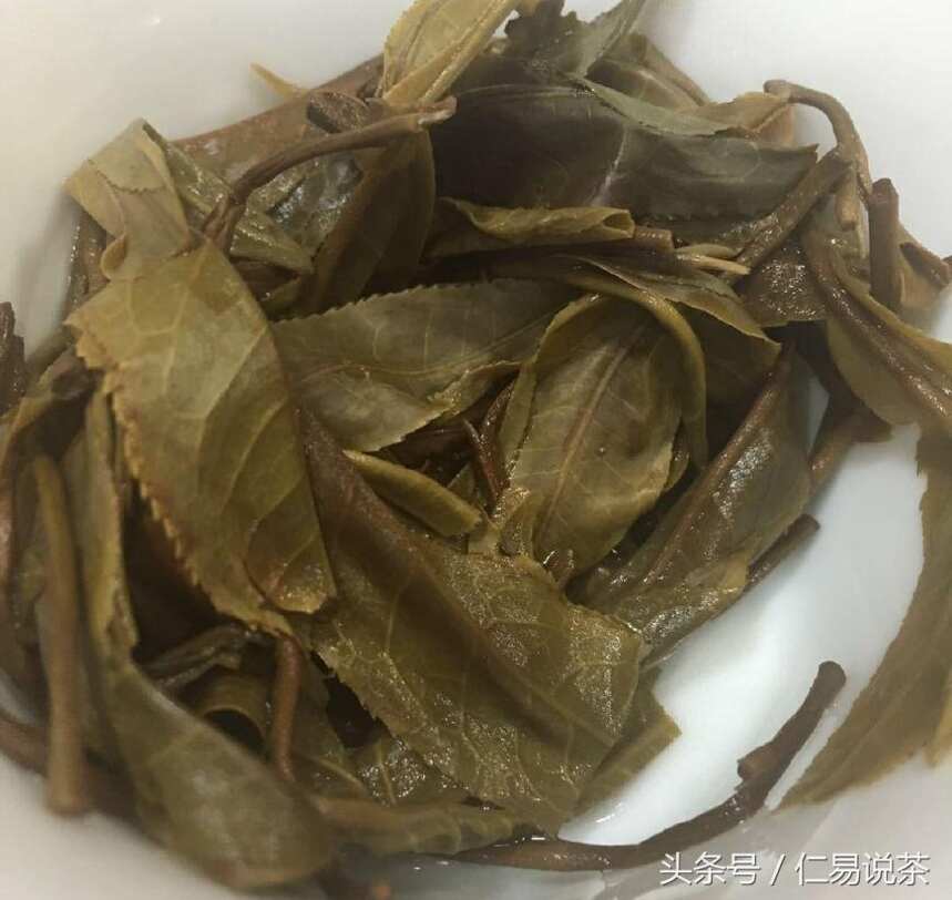 仁易说茶：返璞归真，关于普洱茶新手应不应该了解茶山知识的看法