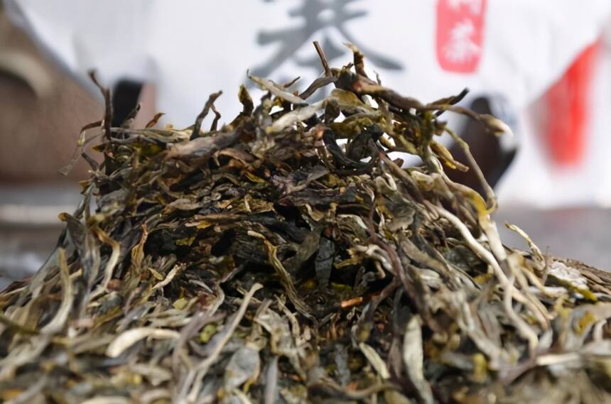 西双版纳、思茅、临沧茶区，每种普洱茶有何特点？口感怎么样？