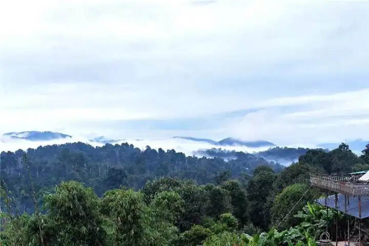 各个山头的普洱茶特征（下）