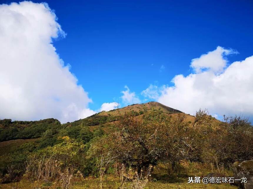 盈江掠影Ⅰ：所思所爱大尖山