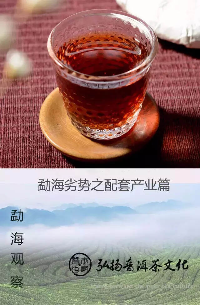 勐海普洱茶产地劣势