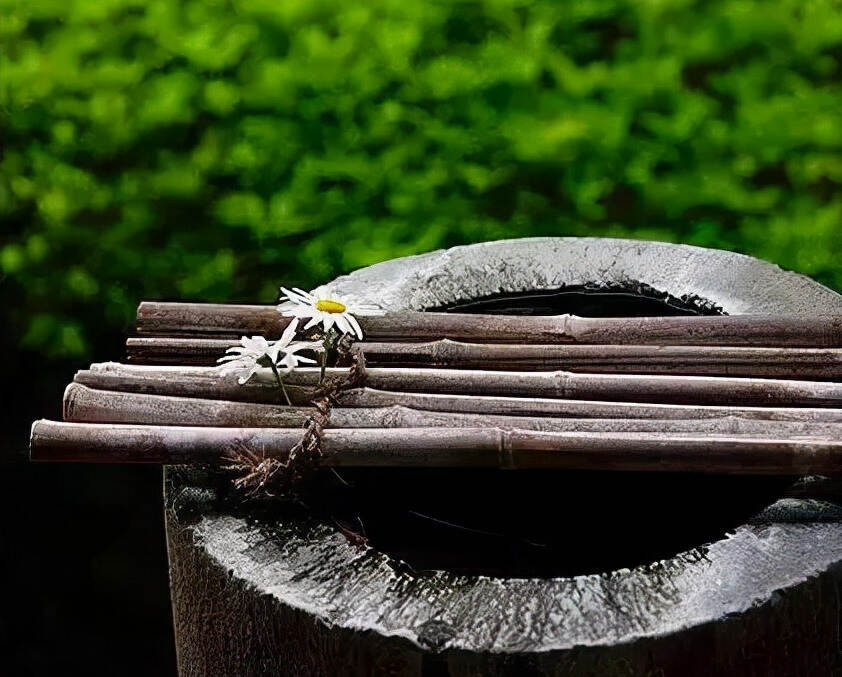 哇塞，比“禅茶一味”境界更高的茶道来了