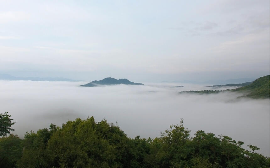 7张航拍景迈山的照片，带你一睹千年古茶山的真容