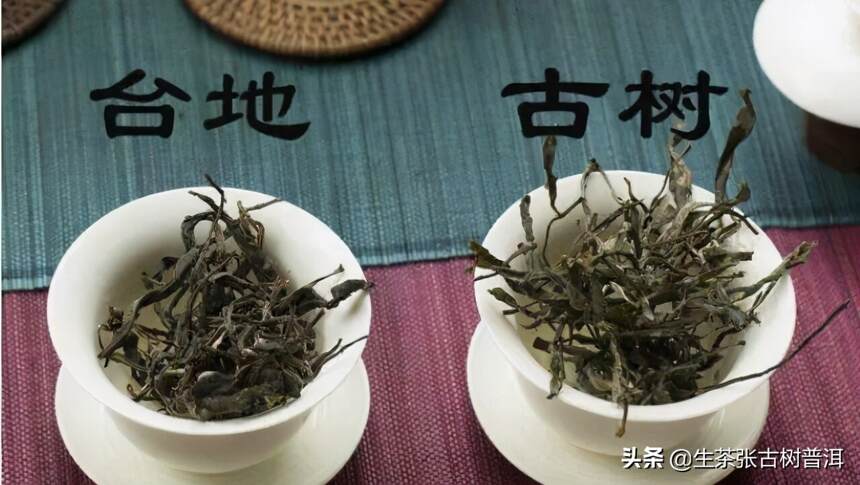 什么样的普洱茶值得收藏？判断一款茶好不好，从5个方面来看