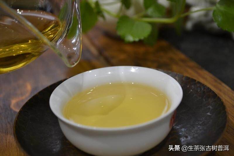 喝普洱茶有哪些误区？喝茶可以代替喝水？