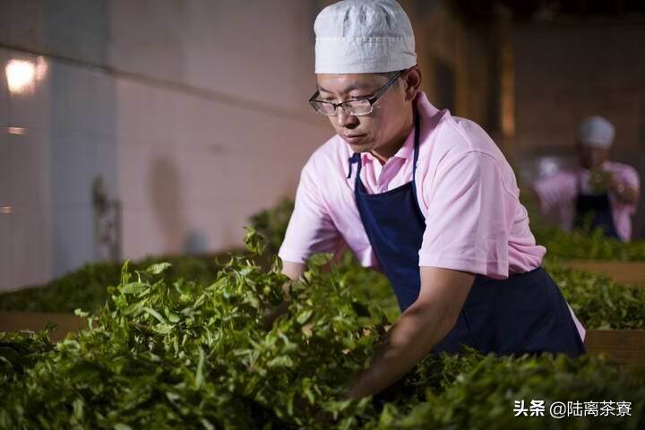 为什么普洱茶企都在上茶山建厂，下市场开店？