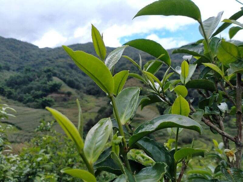 《光辉岁月》：永远不会过时的时代精神！一首歌就是一部人生曲。