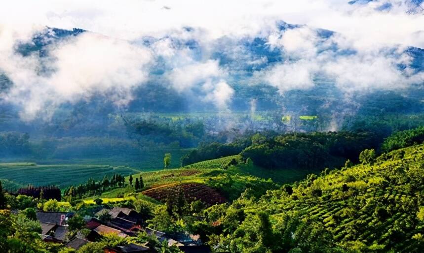 1图说尽名山名茶——思茅产茶区