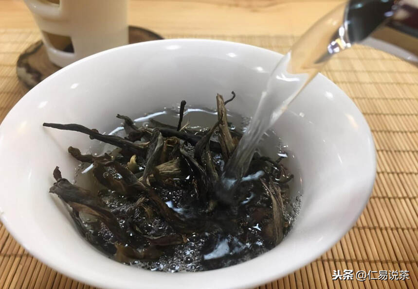 仁易说茶28小时入门教程会给茶友带来什么好处？