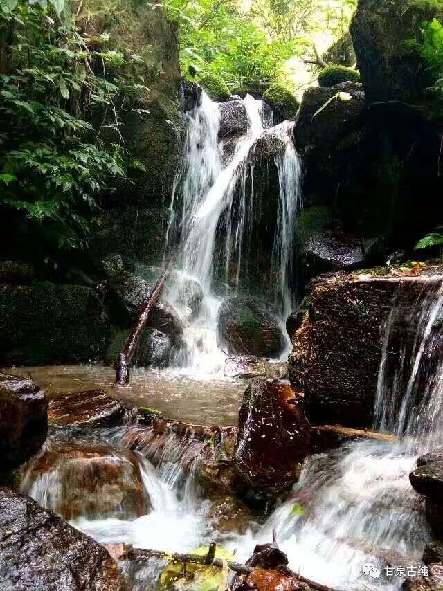 想要茶好喝 择水有讲究