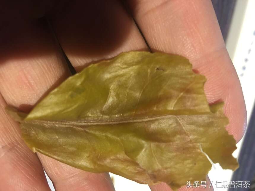 仁易说茶：仁易普洱茶为您担了多少风险？