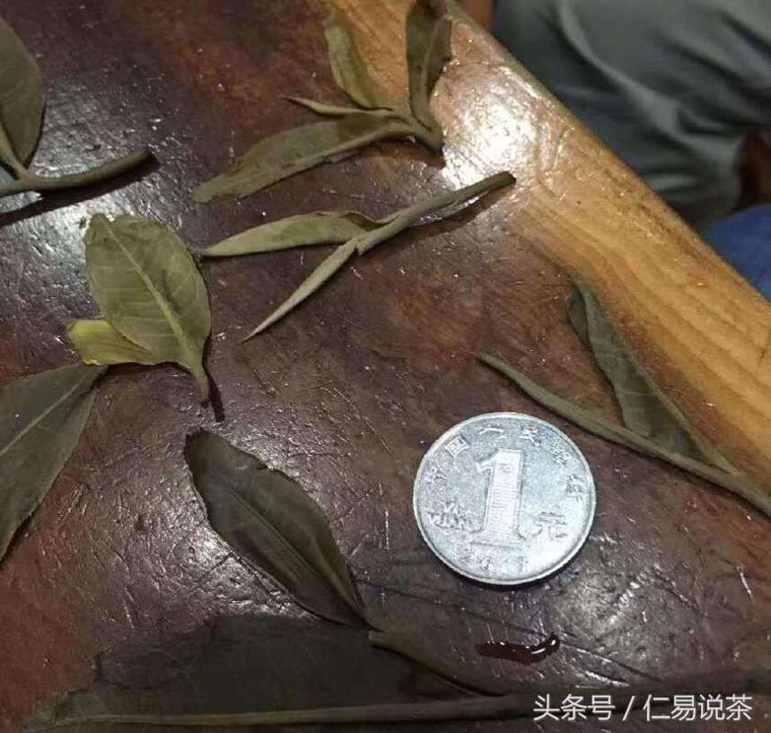 仁易说茶：新编中国普洱茶简史，随手笔记，茶诗一首