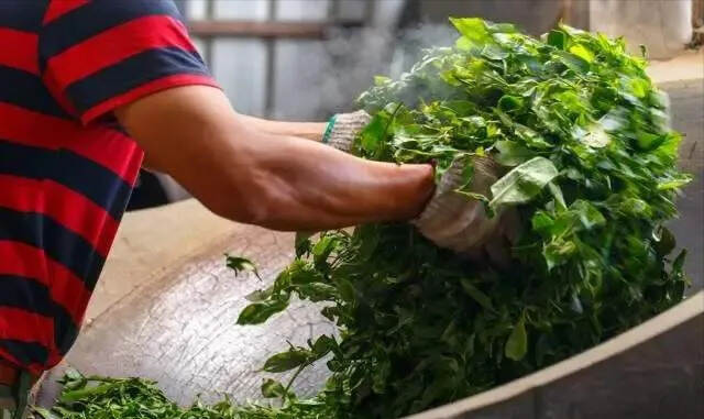 有些普洱茶中的酸味是如何产生的？还能喝吗？