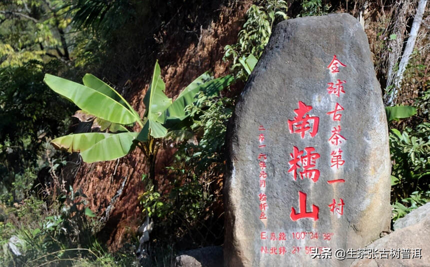 浅谈普洱茶产地｜了解各个产地的普洱茶特点，步入高手的行列