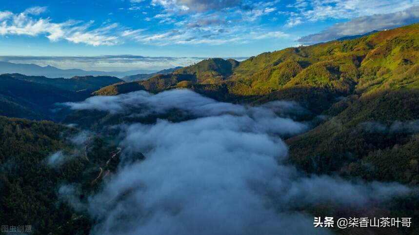 大话普洱：大雪山的地域概念，而非某个山头（上）