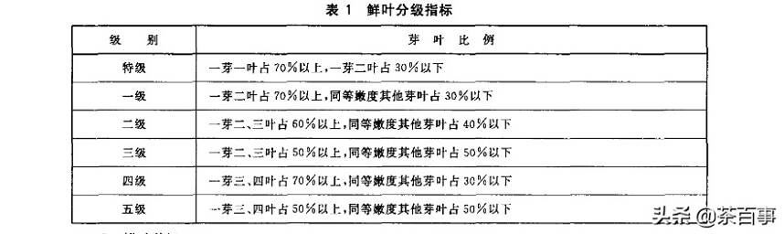 好茶不怕梗，选普洱，千万别被茶梗骗了