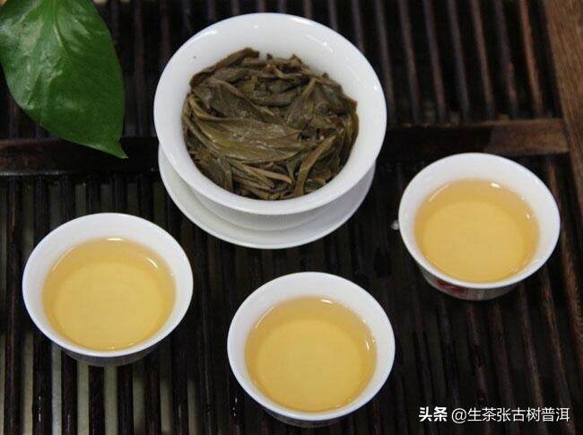 云南十大古树普洱茶，喝过超8种的都是骨灰级茶友，你喝过几种？