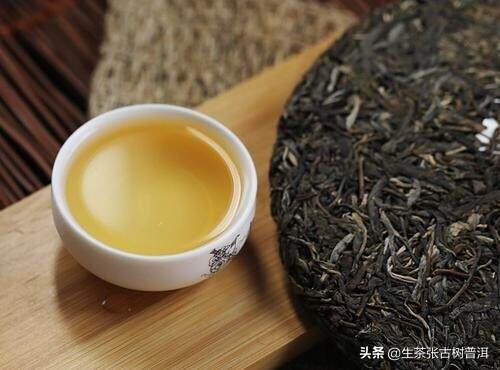 云南十大古树普洱茶，喝过超8种的都是骨灰级茶友，你喝过几种？