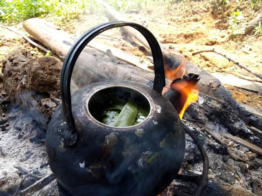 《茶友聊茶》第10期：特殊命名方式的普洱茶