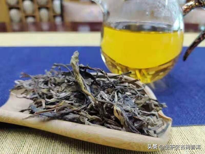 入门攻略必看，如何选购普洱茶？记住这5点，保你不再被坑